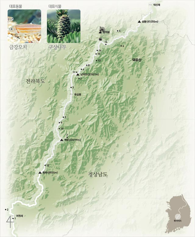 2구간 (여원재~덕유산~덕산재) | 대표동물:금강모치 | 대표식물:구상나무