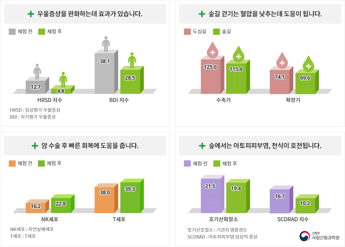 산림치유 효과