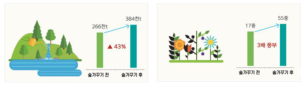 물공급량이 숲가꾸기전 266천t에서 숲가꾸기후 384천t 43% 증가, 풀과 작은나무와 같은 하층식생은 숲가꾸기전 17종에서 숲가꾸기후 55종으로 3배 풍부