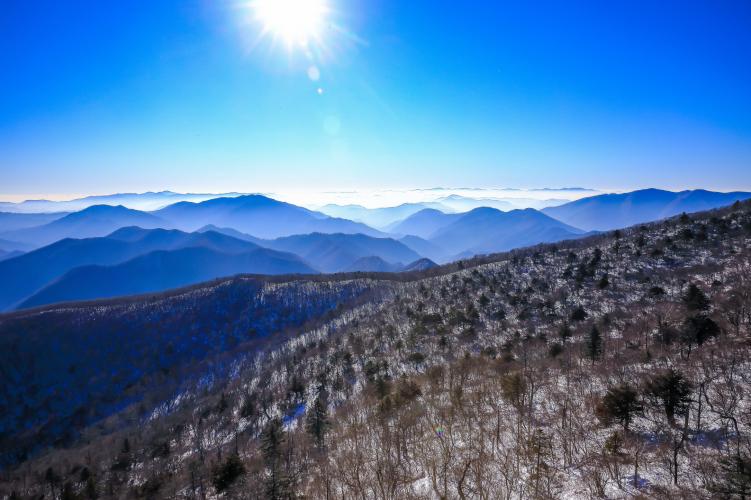 [보전] 86.평창 발왕산 생태숲